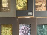 many pictures of a garden with a bench in the middle of them