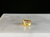 Photo 1/1 du lot