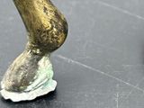 a close up of a horse ' s legs on a black surface