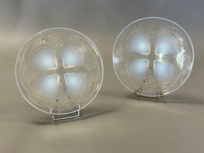 deux assiettes en verre posées sur une table