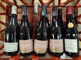 bottles of wine are lined up on a rack in a wine cellar