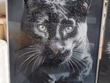 a picture of a cat that is on display in a store