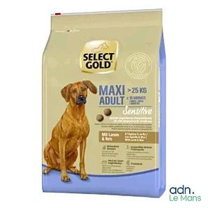 Sélectionnez les croquettes « Gold Maxi » pour chiens adultes de grande race
