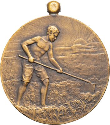 an image of a bronze medal depicting a man with a stick