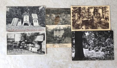 plusieurs vieilles photos en noir et blanc représentant une maison et un arbre