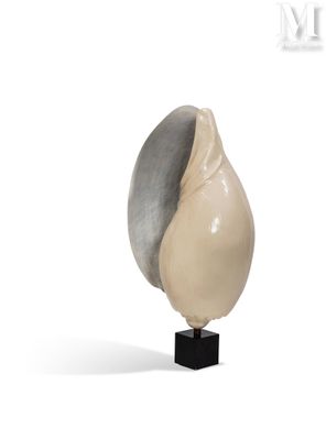 une sculpture représentant un coquillage posée sur un socle, sur fond blanc