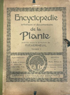 un vieux livre sur lequel figure l'image d'une plante
