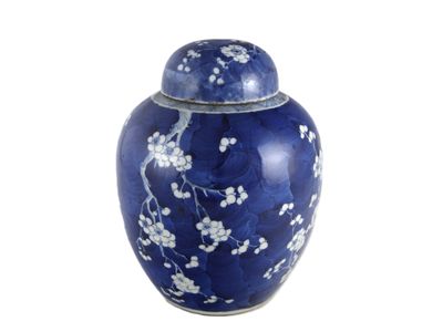 un vase bleu orné de fleurs blanches sur fond blanc