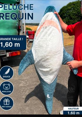 un homme debout à côté d'un gros requin que transporte un camion