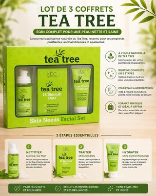 Coffret cadeau de soins pour la peau à l'arbre à thé