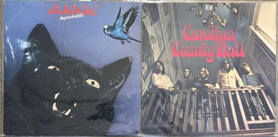 an image of a cd with a picture of a cat and a bird on it