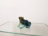 a small frog figurine sitting on top of a glass table