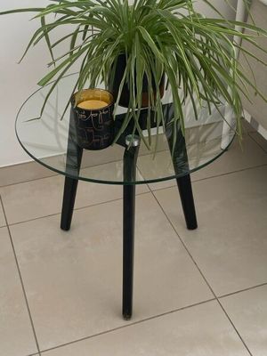 une table en verre sur laquelle se trouve une plante en pot