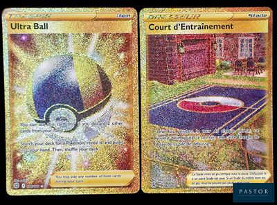 deux cartes Pokémon représentant respectivement un terrain de tennis et un terrain de basket