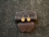 a close up of a pair of earrings on a rock