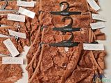 many different types of underwear on display on a table