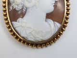 a picture of a woman ' s profile in a broochle
