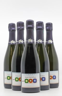 six bottles of wine are lined up on a white surface