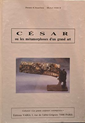 a book that is sitting on a table