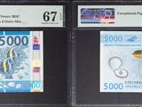 trois types différents de billets de banque exposés dans un magasin