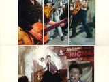 une image représentant un collage de photos d'Elvis Presley et de son groupe