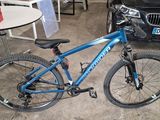 un vélo qui est garé dans un garage à côté d'une voiture