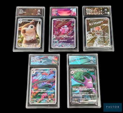 six cartes Pokémon différentes, rangées dans des pochettes en plastique, posées sur une surface noire