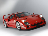 Photo 12/41 du lot