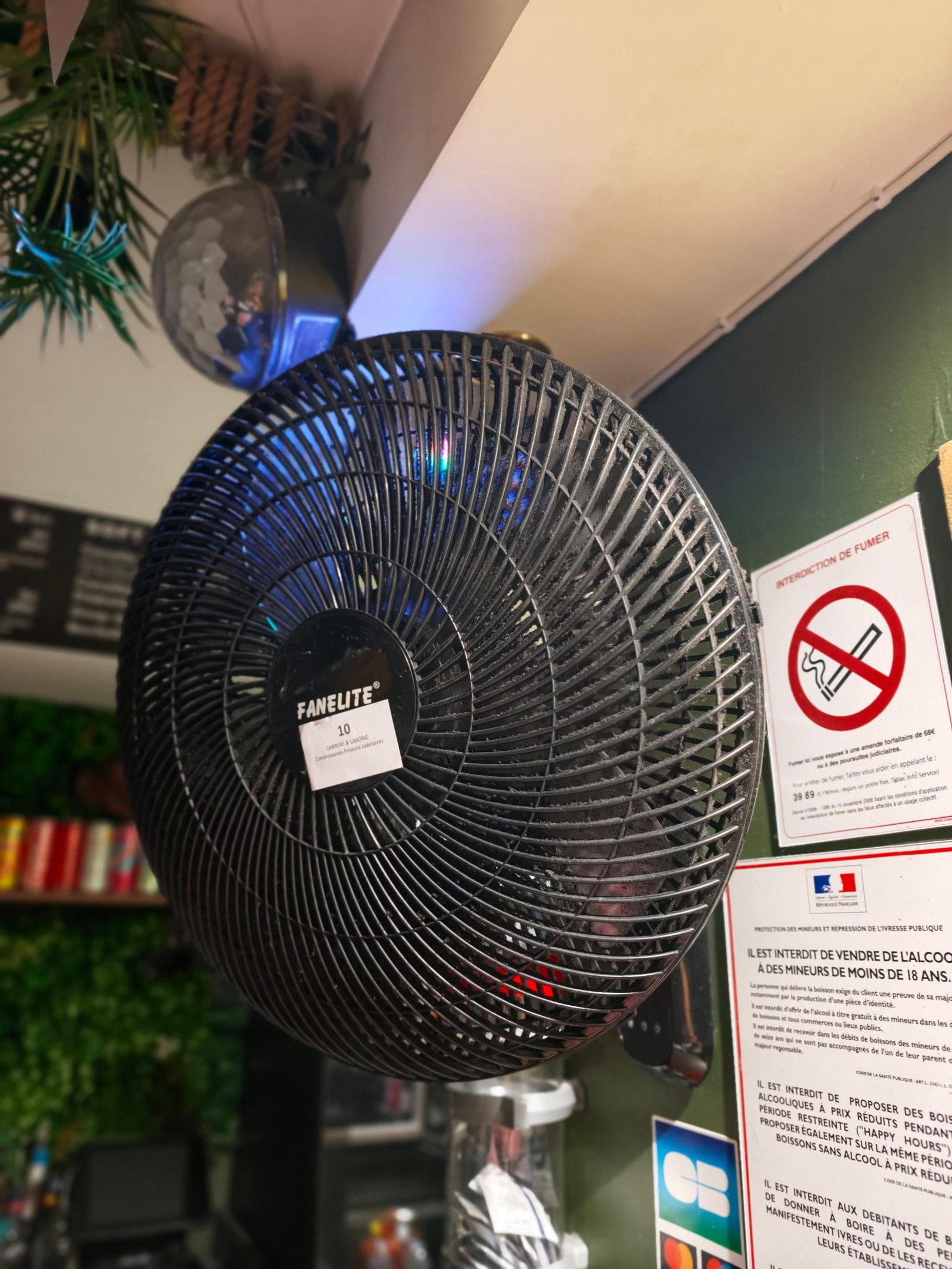 Ventilateur FANELITE (fixé au mur, à démonter)