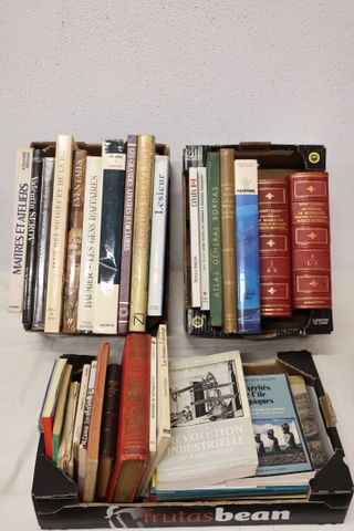 Lot de 3 cartons de livres dont livres d’art, voyages, atlas, dic...