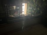 a small window in a kitchen with a lot of plants