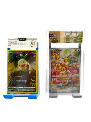 deux cartes à collectionner pokemon dans un support en plastique sur fond blanc