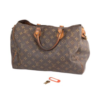 louis vuitton monogram canvas speedy bag