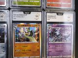 many different types of pokemon cards in this case