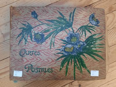 une photo d'une photo représentant des fleurs posées par terre