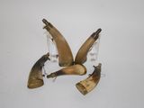 several pieces of horn are sitting on a white surface