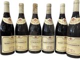 six bouteilles de vin sont alignées sur un fond blanc