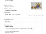 carat gem lab lab manual