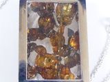a picture of a square pendant with a picture of flowers inside of it