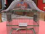 un oiseau dans une cage posée sur une table recouverte d'une nappe rouge