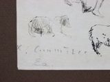 drawing of a bear and other animals on a piece of paper
