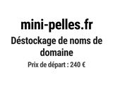 Photo 1/1 du lot