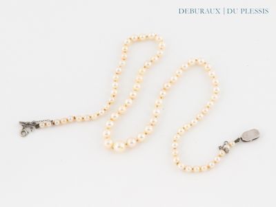 pearl necklace with silver clasp and clasp on a white background