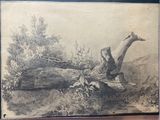 a picture of a drawing of a dead tree