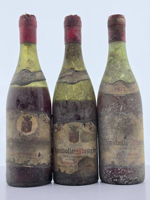 trois bouteilles de vin posées l'une à côté de l'autre sur une table