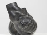 Photo 7/11 du lot
