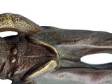 a bronze statue of a frog on a white background
