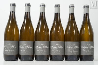 six bouteilles de vin sont alignées dans une rangée