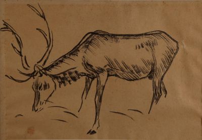 a drawing of a deer eating grass on a piece of paper