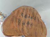 a person that is holding a piece of wood with writing on it
